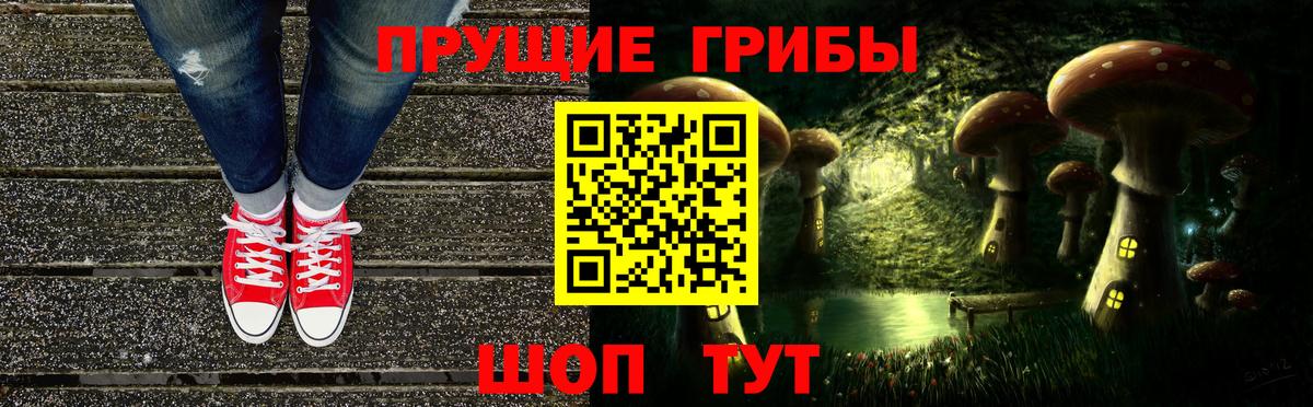 Батайск  Галлюциногенные грибы Psilocybine cubensis  Вход с VPN 